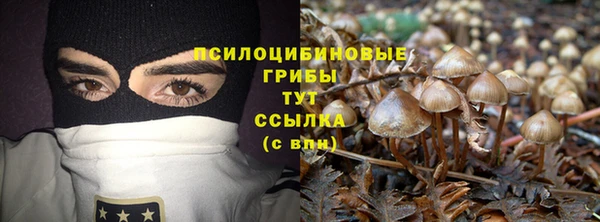 COCAINE Няндома
